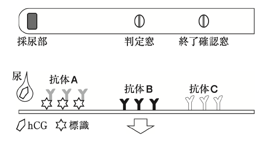 解説画像